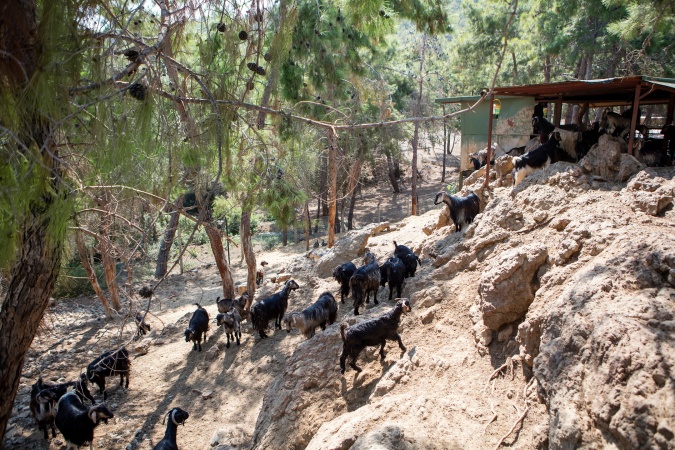 Zoo